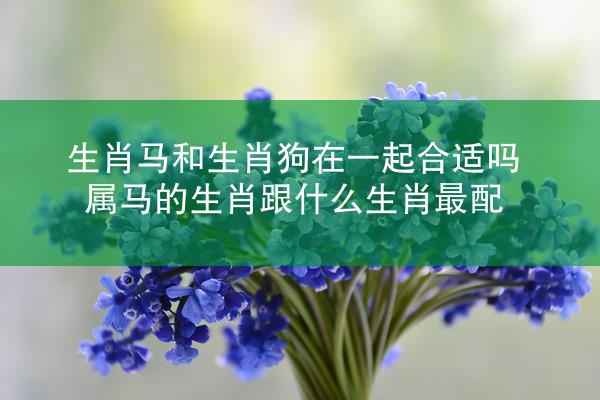 生肖马和生肖狗在一起合适吗 属马的生肖跟什么生肖最配