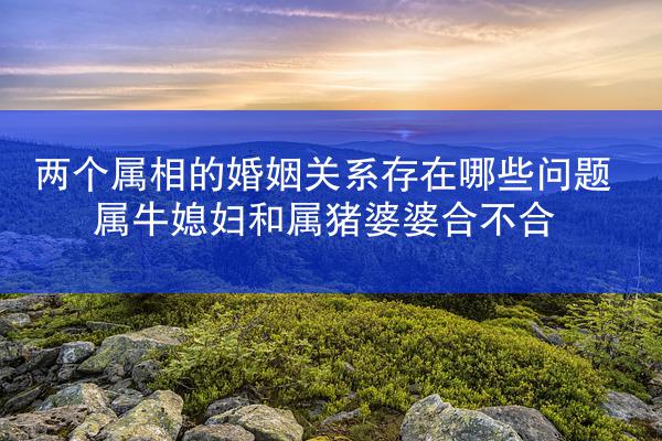 两个属相的婚姻关系存在哪些问题 属牛媳妇和属猪婆婆合不合