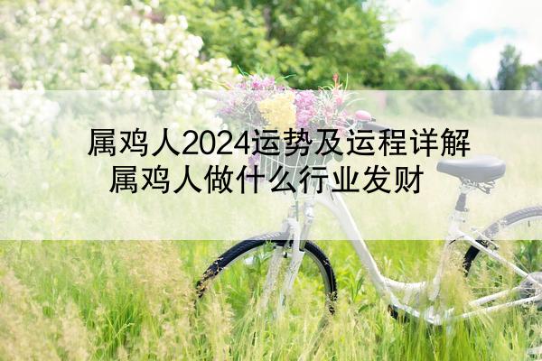 属鸡人2024运势及运程详解 属鸡人做什么行业发财