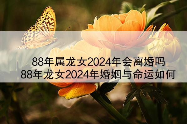  88年属龙女2024年会离婚吗 88年龙女2024年婚姻与命运如何