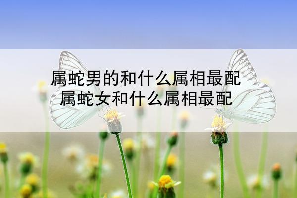 属蛇男的和什么属相最配 属蛇女和什么属相最配