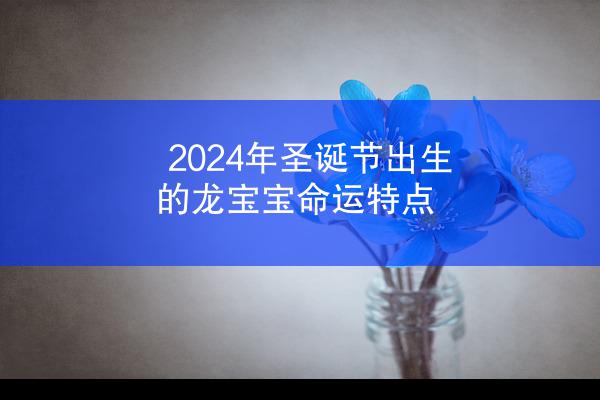 2024年圣诞节出生的龙宝宝命运特点