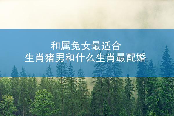 和属兔女最适合 生肖猪男和什么生肖最配婚