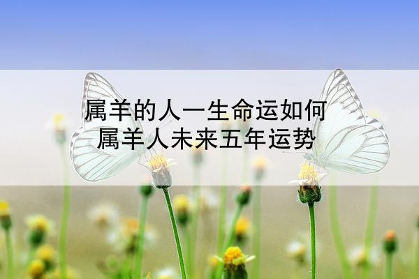 属羊的人一生命运如何 属羊人未来五年运势