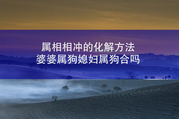 属相相冲的化解方法 婆婆属狗媳妇属狗合吗