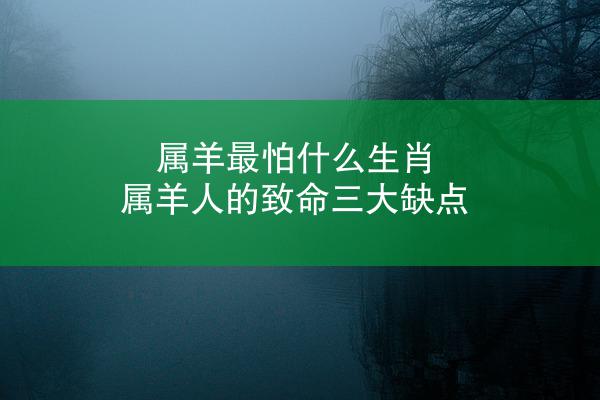 属羊最怕什么生肖 属羊人的致命三大缺点