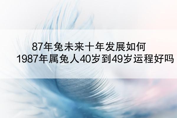 87年兔未来十年发展如何 1987年属兔人40岁到49岁运程好吗