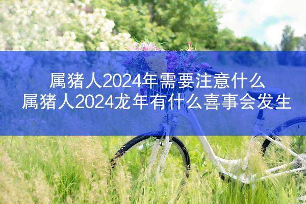 属猪人2024年需要注意什么 属猪人2024龙年有什么喜事会发生
