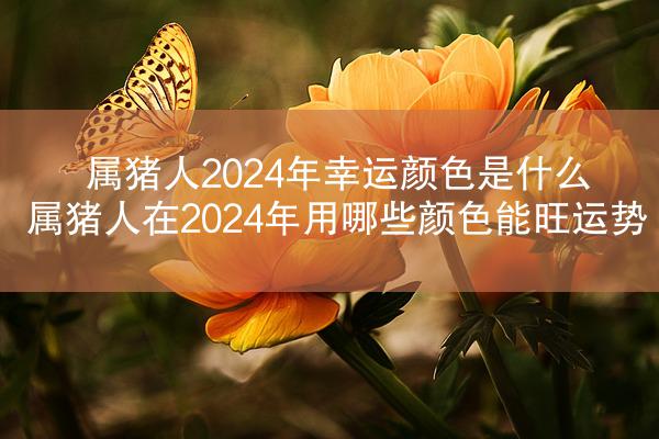 属猪人2024年幸运颜色是什么 属猪人在2024年用哪些颜色能旺运势