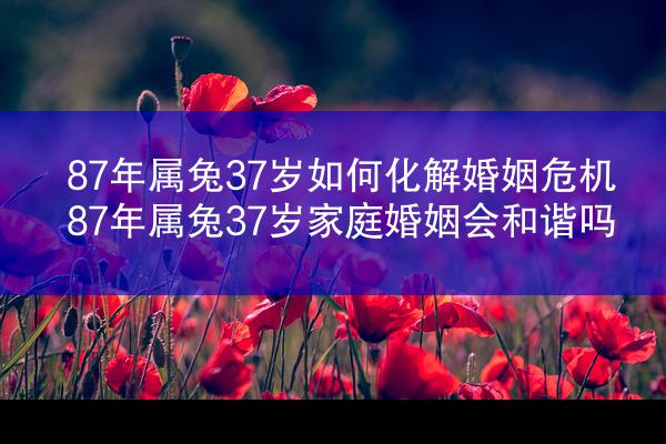 87年属兔37岁如何化解婚姻危机 87年属兔37岁家庭婚姻会和谐吗