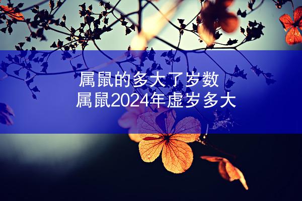 属鼠的多大了岁数 属鼠2024年虚岁多大