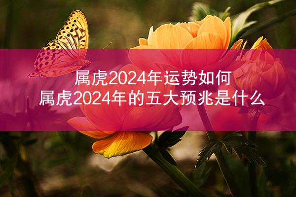属虎2024年运势如何 属虎2024年的五大预兆是什么