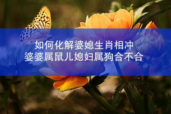 如何化解婆媳生肖相冲 婆婆属鼠儿媳妇属狗合不合