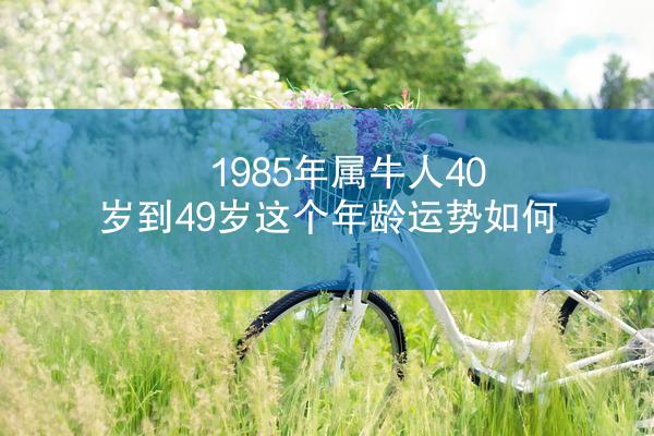 1985年属牛人40岁到49岁这个年龄运势如何