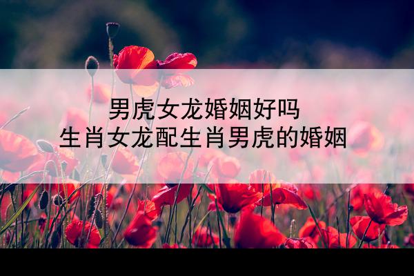 男虎女龙婚姻好吗 生肖女龙配生肖男虎的婚姻