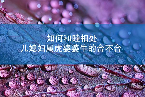 如何和睦相处 儿媳妇属虎婆婆牛的合不合