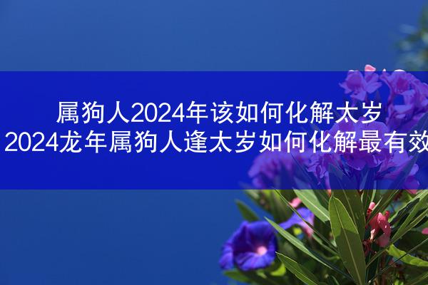 属狗人2024年该如何化解太岁 2024龙年属狗人逢太岁如何化解最有效