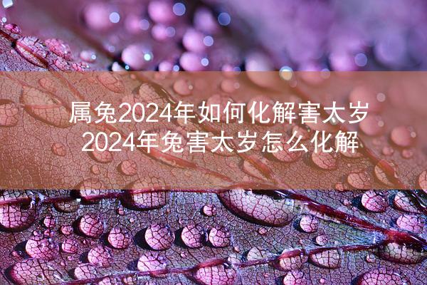 属兔2024年如何化解害太岁 2024年兔害太岁怎么化解