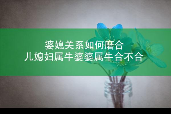婆媳关系如何磨合 儿媳妇属牛婆婆属牛合不合