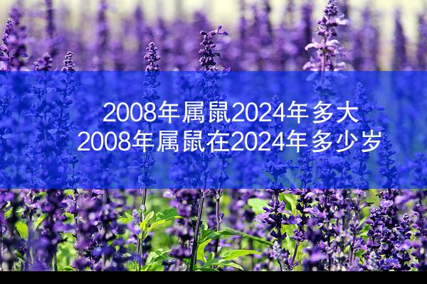 2008年属鼠2024年多大 2008年属鼠在2024年多少岁