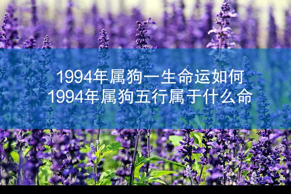 1994年属狗一生命运如何 1994年属狗五行属于什么命