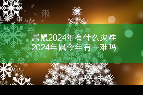 属鼠2024年有什么灾难 2024年鼠今年有一难吗