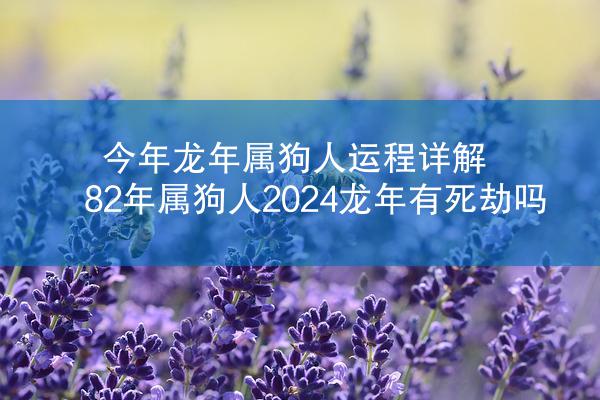 今年龙年属狗人运程详解 82年属狗人2024龙年有死劫吗