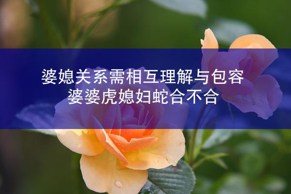 婆媳关系需相互理解与包容 婆婆虎媳妇蛇合不合