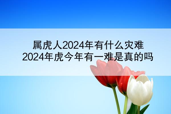 属虎人2024年有什么灾难 2024年虎今年有一难是真的吗