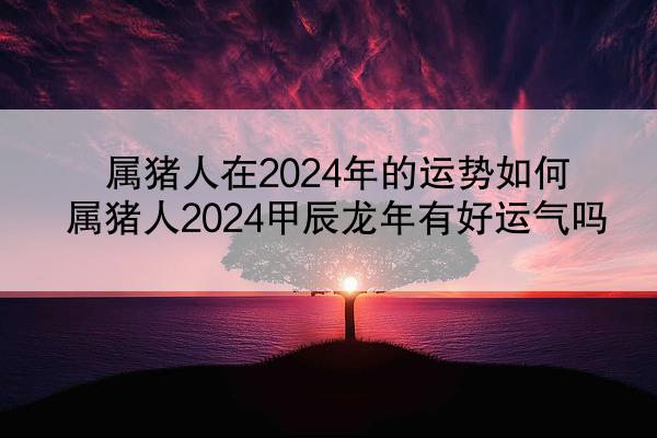 属猪人在2024年的运势如何 属猪人2024甲辰龙年有好运气吗