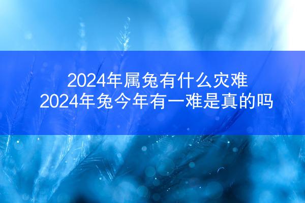 2024年属兔有什么灾难 2024年兔今年有一难是真的吗
