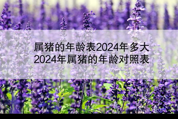 属猪的年龄表2024年多大 2024年属猪的年龄对照表