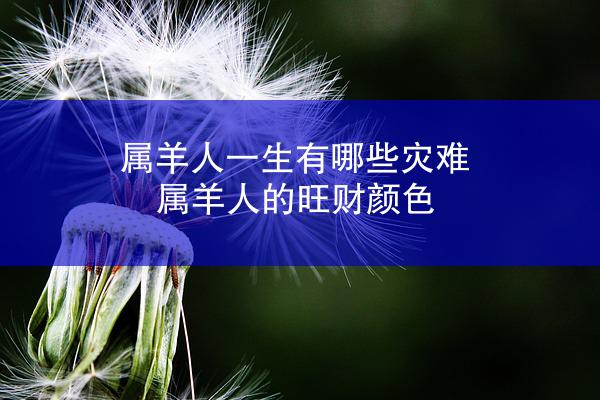 属羊人一生有哪些灾难 属羊人的旺财颜色