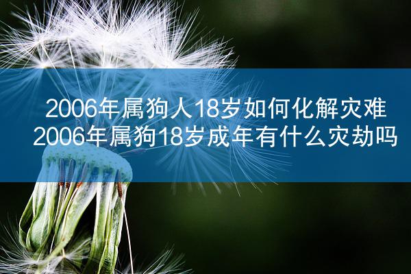 2006年属狗人18岁如何化解灾难 2006年属狗18岁成年有什么灾劫吗