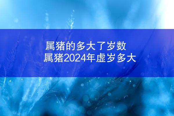 属猪的多大了岁数 属猪2024年虚岁多大