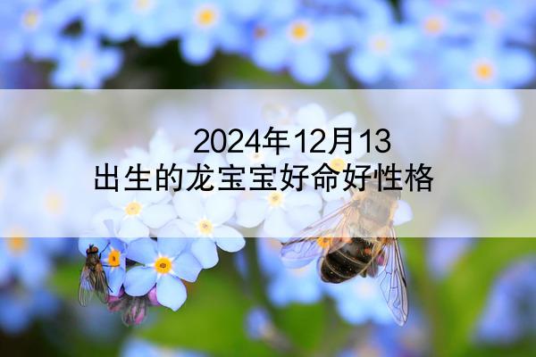 2024年12月13出生的龙宝宝好命好性格
