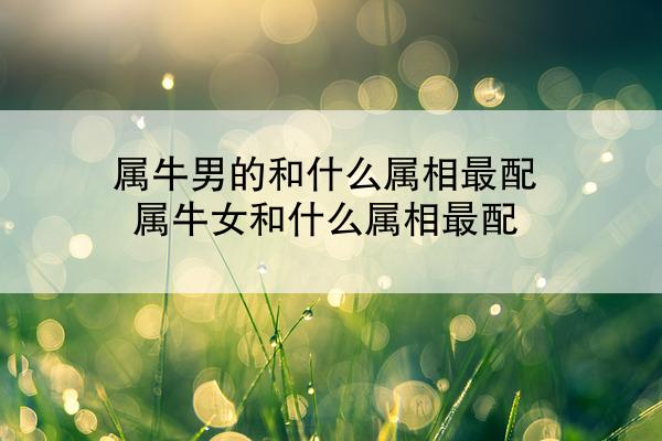 属牛男的和什么属相最配 属牛女和什么属相最配