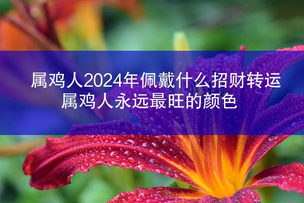 属鸡人2024年佩戴什么招财转运 属鸡人永远最旺的颜色