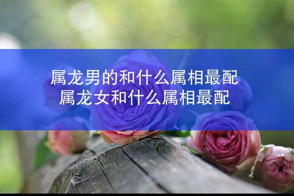 属龙男的和什么属相最配 属龙女和什么属相最配