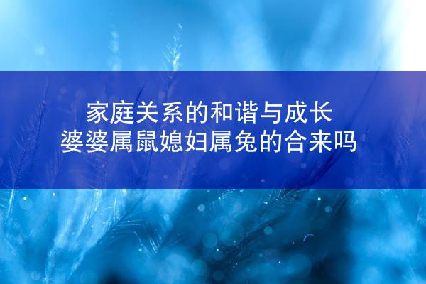 家庭关系的和谐与成长 婆婆属鼠媳妇属兔的合来吗