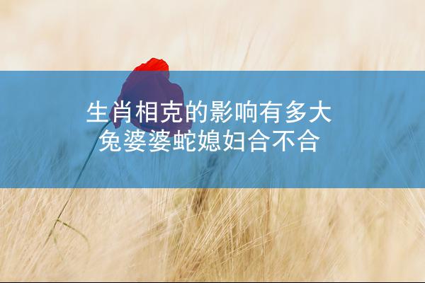 生肖相克的影响有多大 兔婆婆蛇媳妇合不合