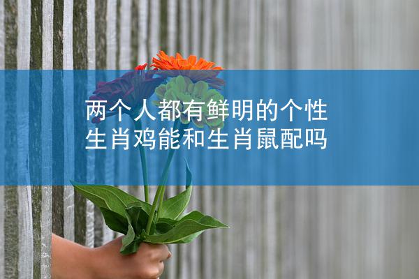 两个人都有鲜明的个性 生肖鸡能和生肖鼠配吗