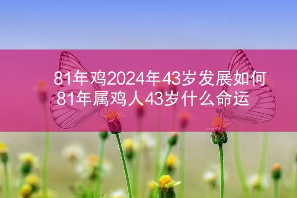 81年鸡2024年43岁发展如何 81年属鸡人43岁什么命运