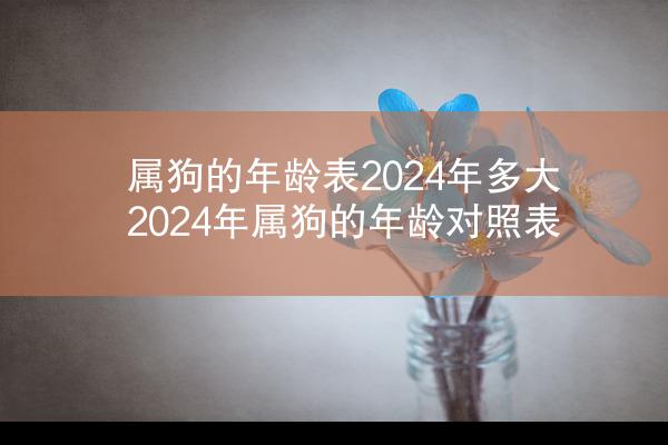 属狗的年龄表2024年多大 2024年属狗的年龄对照表