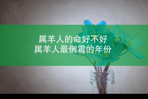 属羊人的命好不好 属羊人最倒霉的年份