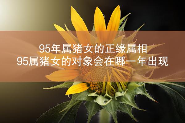 95年属猪女的正缘属相 95属猪女的对象会在哪一年出现
