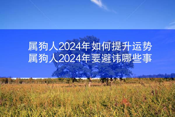 属狗人2024年如何提升运势 属狗人2024年要避讳哪些事