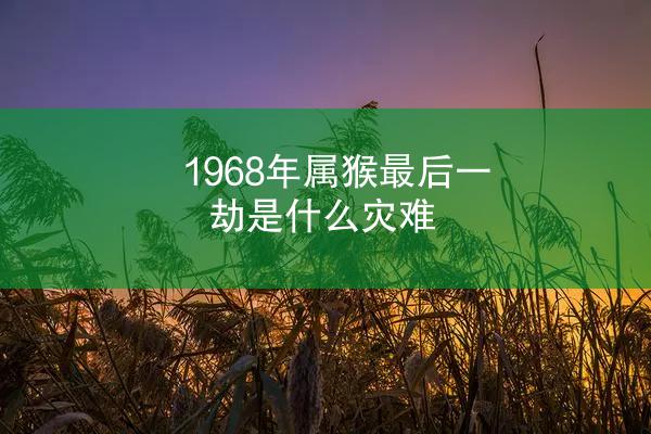 1968年属猴最后一劫是什么灾难