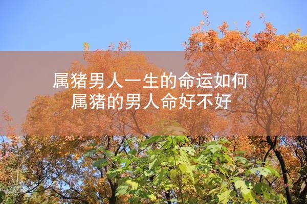 属猪男人一生的命运如何 属猪的男人命好不好