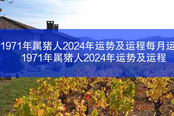 1971年属猪人2024年运势及运程每月运势 1971年属猪人2024年运势及运程